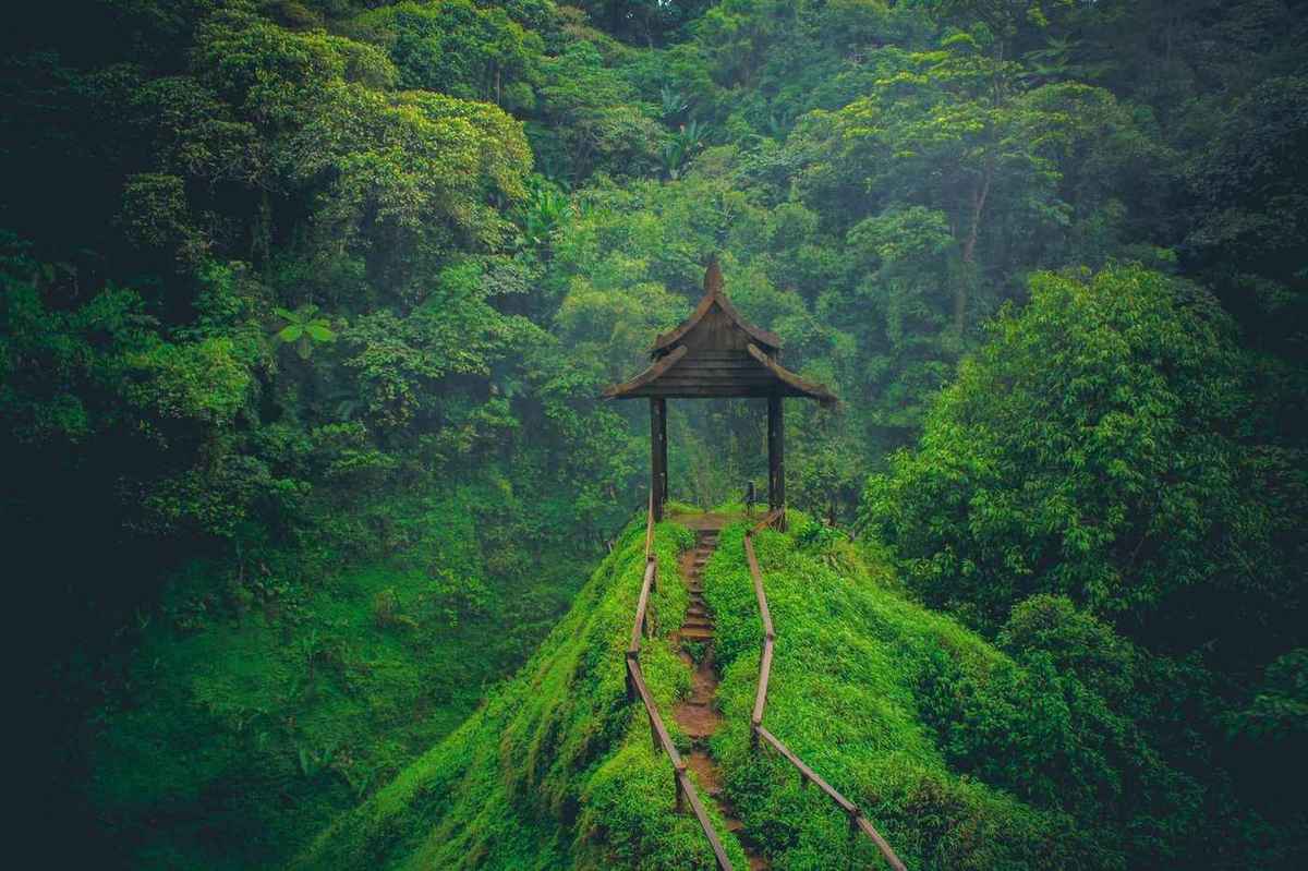 Secrets of Southern Laos